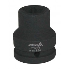 ASTA 256E24.